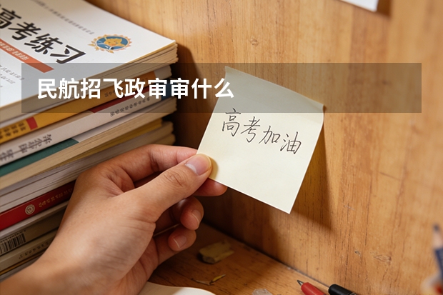 民航招飞政审审什么