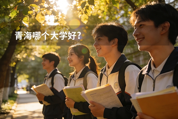 青海哪个大学好?