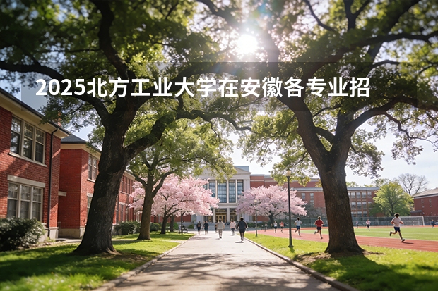 2025北方工业大学在安徽各专业招生人数多少（2026参考）