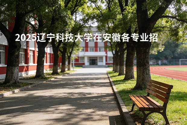 2025辽宁科技大学在安徽各专业招生人数多少（2026参考）