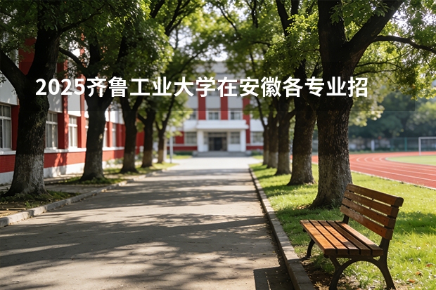 2025齐鲁工业大学在安徽各专业招生人数多少（2026参考）