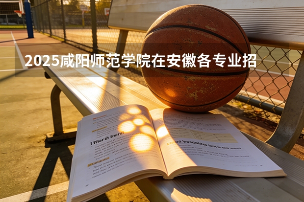 2025咸阳师范学院在安徽各专业招生人数多少（2026参考）