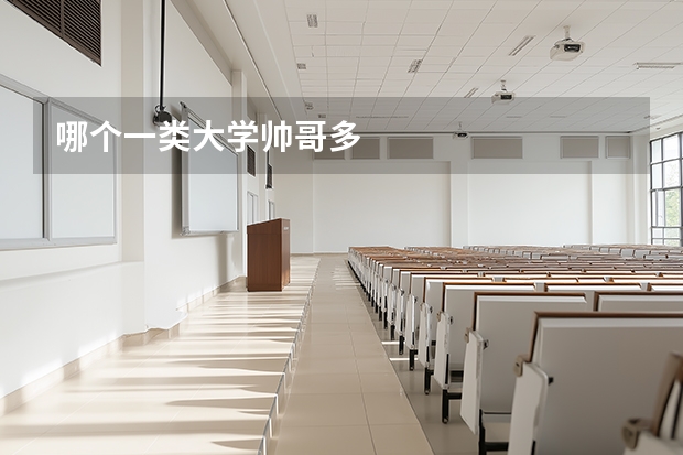 哪个一类大学帅哥多