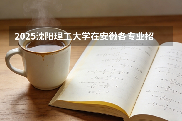 2025沈阳理工大学在安徽各专业招生人数多少（2026参考）