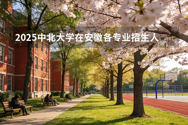 2025中北大学在安徽各专业招生人数多少（2026参考）