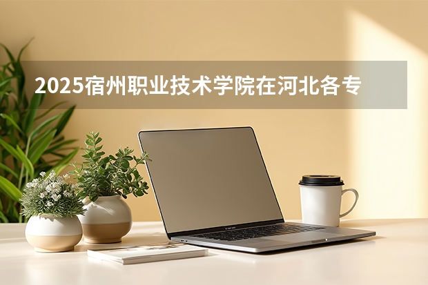 2025宿州职业技术学院在河北各专业招生人数多少（2026参考）