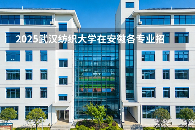 2025武汉纺织大学在安徽各专业招生人数多少（2026参考）
