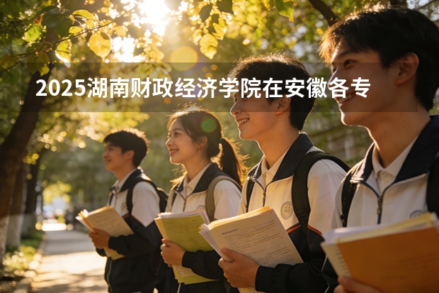 2025湖南财政经济学院在安徽各专业招生人数多少（2026参考）