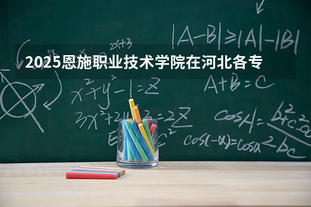 2025恩施职业技术学院在河北各专业招生人数多少（2026参考）