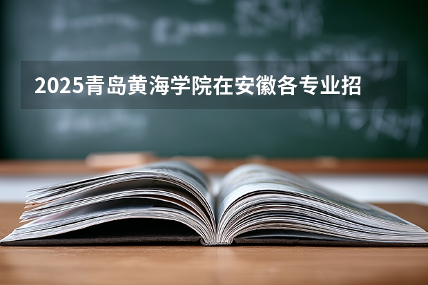 2025青岛黄海学院在安徽各专业招生人数多少（2026参考）