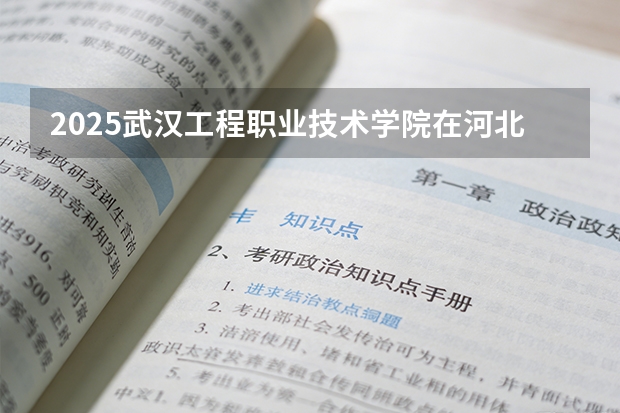2025武汉工程职业技术学院在河北各专业招生人数多少（2026参考）