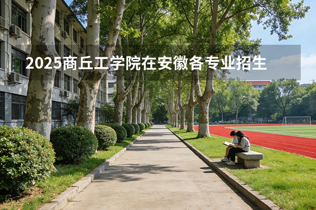 2025商丘工学院在安徽各专业招生人数多少（2026参考）