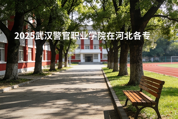 2025武汉警官职业学院在河北各专业招生人数多少（2026参考）