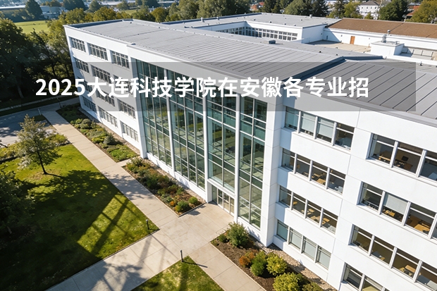 2025大连科技学院在安徽各专业招生人数多少（2026参考）