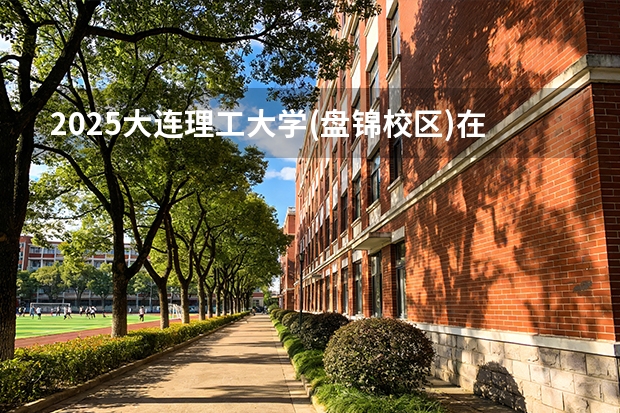 2025大连理工大学(盘锦校区)在安徽各专业招生人数多少（2026参考）