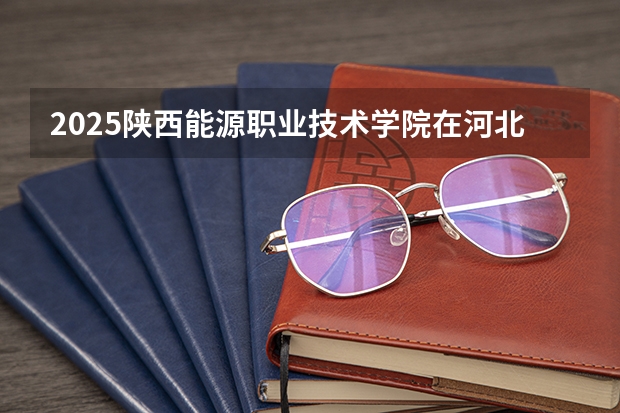 2025陕西能源职业技术学院在河北各专业招生人数多少（2026参考）