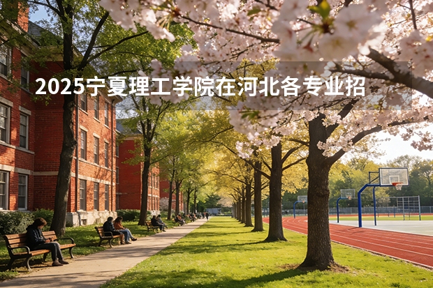 2025宁夏理工学院在河北各专业招生人数多少（2026参考）