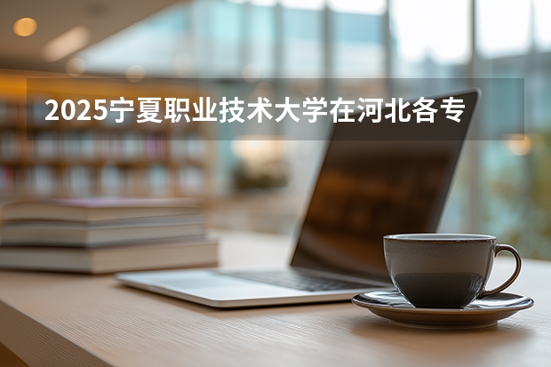 2025宁夏职业技术大学在河北各专业招生人数多少（2026参考）