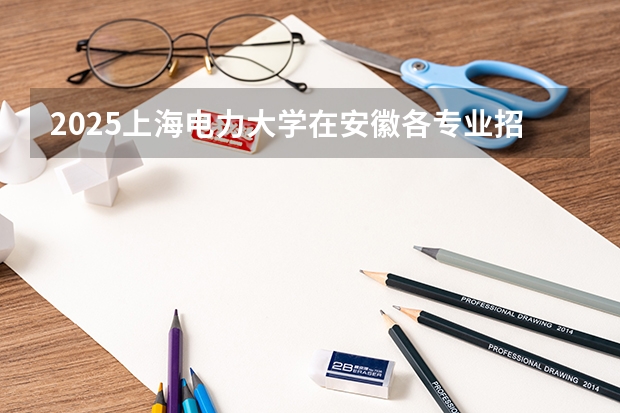 2025上海电力大学在安徽各专业招生人数多少（2026参考）