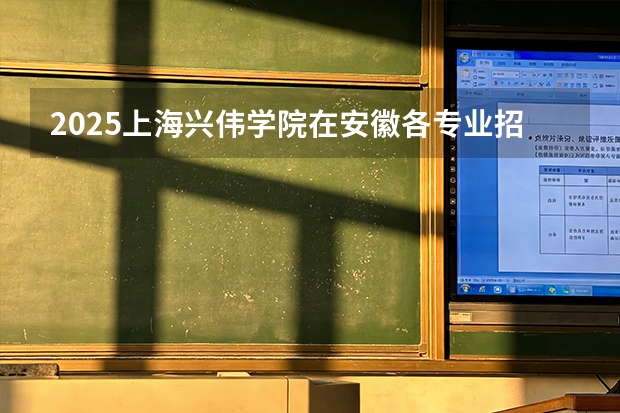 2025上海兴伟学院在安徽各专业招生人数多少（2026参考）