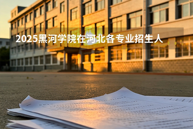 2025黑河学院在河北各专业招生人数多少（2026参考）