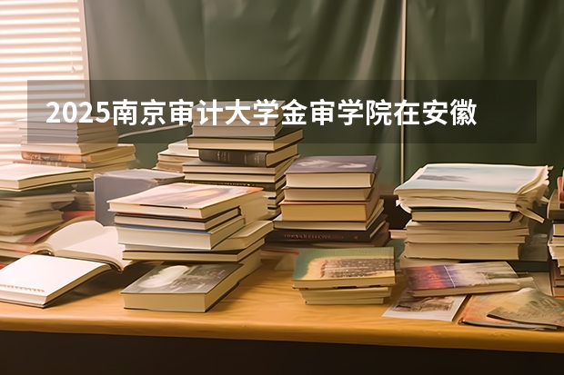 2025南京审计大学金审学院在安徽各专业招生人数多少（2026参考）