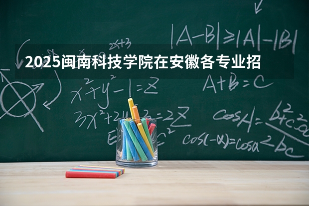2025闽南科技学院在安徽各专业招生人数多少（2026参考）