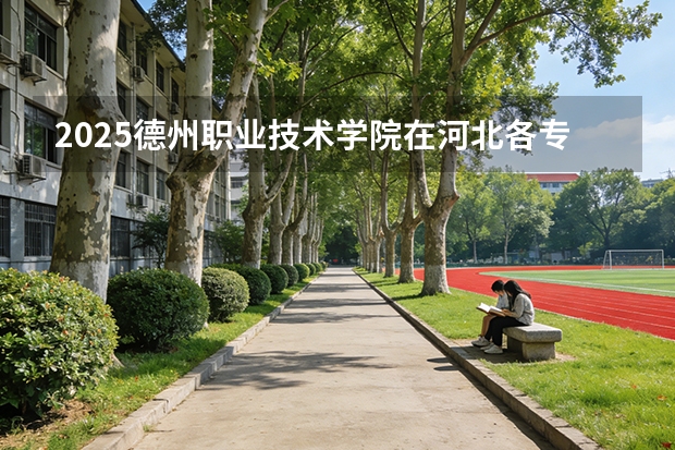 2025德州职业技术学院在河北各专业招生人数多少（2026参考）