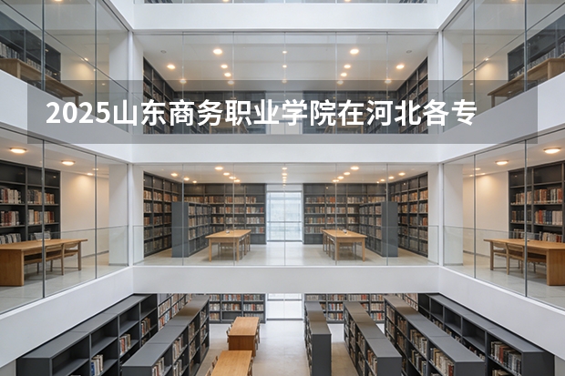 2025山东商务职业学院在河北各专业招生人数多少（2026参考）