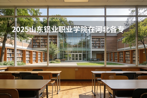 2025山东铝业职业学院在河北各专业招生人数多少（2026参考）