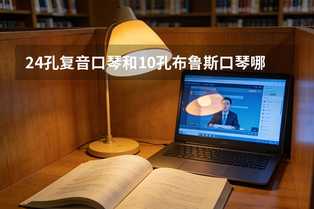 24孔复音口琴和10孔布鲁斯口琴哪个更受欢迎，哪个好学一些，哪个对于中国人能吹的曲子多一些？