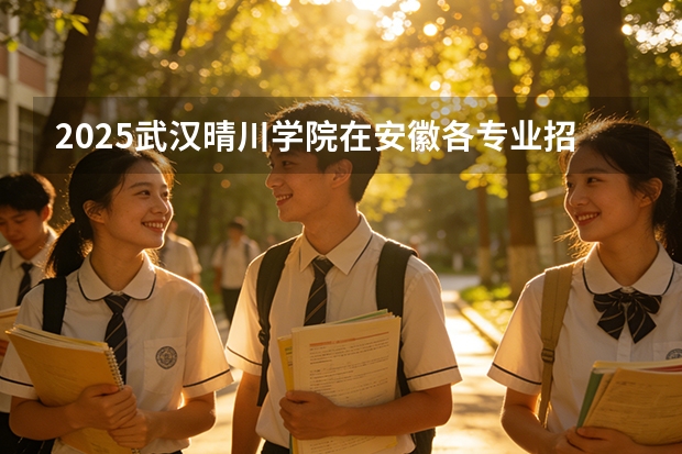 2025武汉晴川学院在安徽各专业招生人数多少（2026参考）