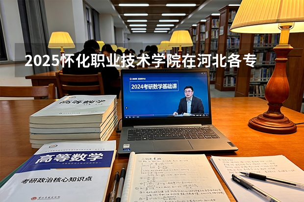 2025怀化职业技术学院在河北各专业招生人数多少（2026参考）