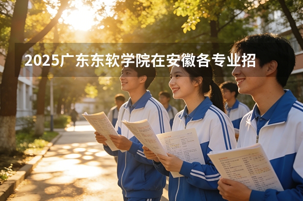 2025广东东软学院在安徽各专业招生人数多少（2026参考）