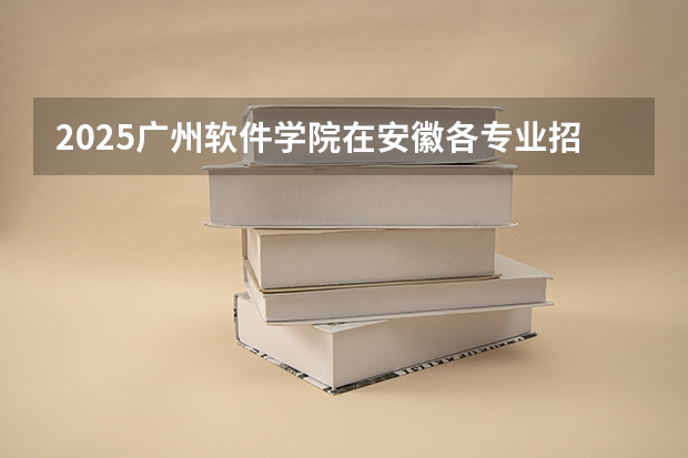 2025广州软件学院在安徽各专业招生人数多少（2026参考）