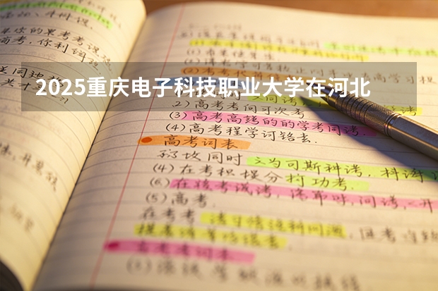 2025重庆电子科技职业大学在河北各专业招生人数多少（2026参考）
