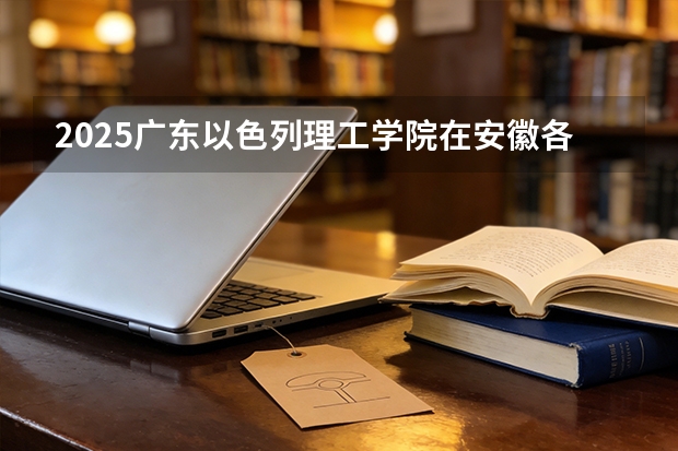 2025广东以色列理工学院在安徽各专业招生人数多少（2026参考）