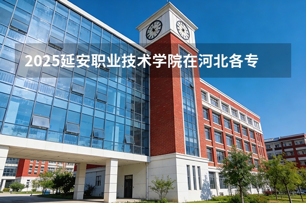 2025延安职业技术学院在河北各专业招生人数多少（2026参考）