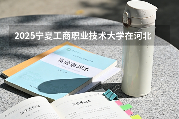 2025宁夏工商职业技术大学在河北各专业招生人数多少（2026参考）