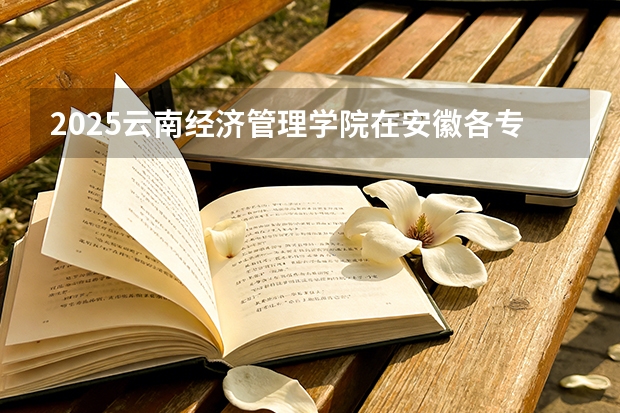 2025云南经济管理学院在安徽各专业招生人数多少（2026参考）