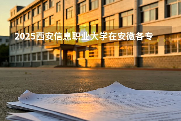 2025西安信息职业大学在安徽各专业招生人数多少（2026参考）