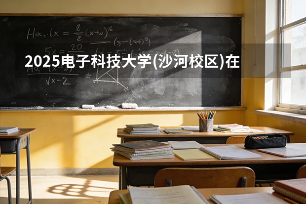2025电子科技大学(沙河校区)在安徽各专业招生人数多少（2026参考）