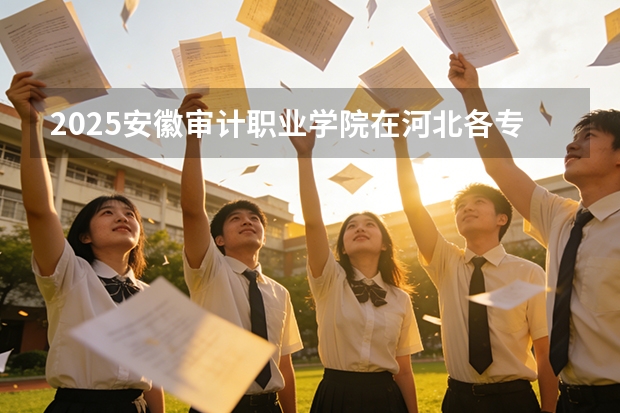 2025安徽审计职业学院在河北各专业招生人数多少（2026参考）