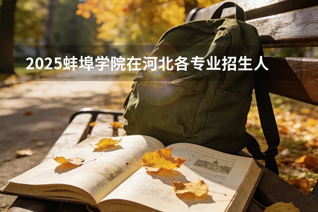 2025蚌埠学院在河北各专业招生人数多少（2026参考）
