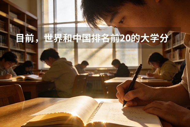 目前，世界和中国排名前20的大学分别是那几所？？ 国际经济与贸易排名
