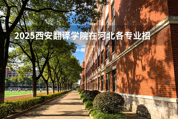 2025西安翻译学院在河北各专业招生人数多少（2026参考）