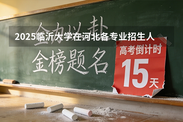 2025临沂大学在河北各专业招生人数多少（2026参考）