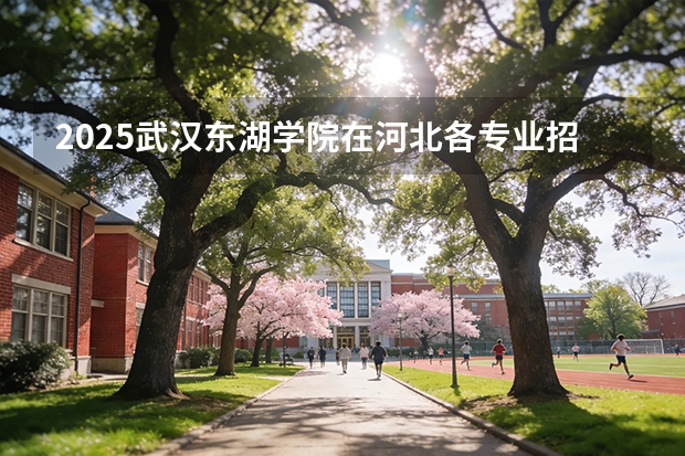 2025武汉东湖学院在河北各专业招生人数多少（2026参考）