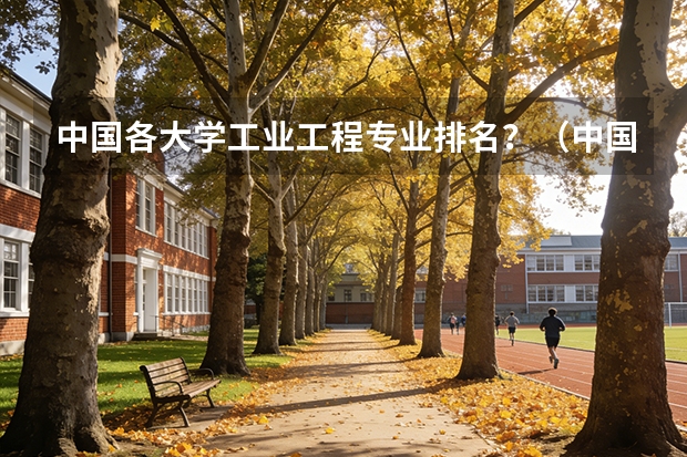 中国各大学工业工程专业排名？（中国大学古代文学专业排行）