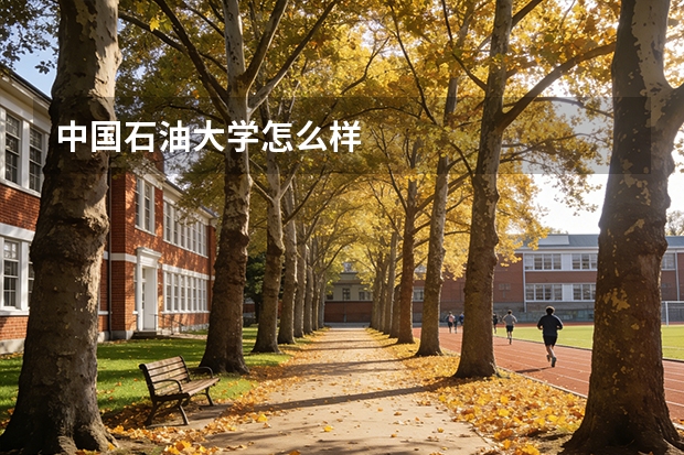 中国石油大学怎么样